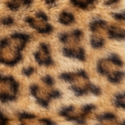 COCOON | NUVÉ™ Serengeti